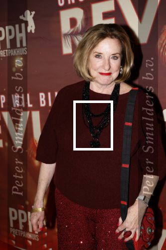 Amsterdam 26 januari 2026
Premiere ons pap wil bij de revue in het deLaMar theater . catherine Keyl