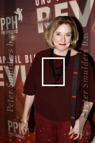 Amsterdam 26 januari 2026
Premiere ons pap wil bij de revue in het deLaMar theater . catherine Keyl