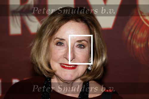 Amsterdam 26 januari 2026
Premiere ons pap wil bij de revue in het deLaMar theater . catherine Keyl