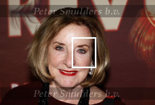 Amsterdam 26 januari 2026
Premiere ons pap wil bij de revue in het deLaMar theater . catherine Keyl