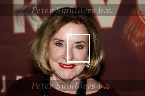 Amsterdam 26 januari 2026
Premiere ons pap wil bij de revue in het deLaMar theater . catherine Keyl