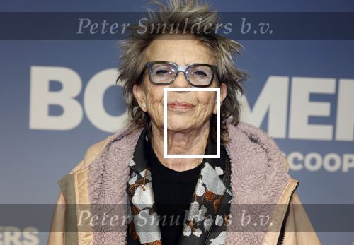 Amsterdam 16 februari 2026
Premiere Boomers met oa Huub Stapel Jennifer Hofman ( zwanger) Renee Fokker Johanna Ter Steege Hans Kesting Serge Henri Valcke ea  in Tuschinski . Connie Palmen