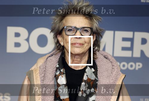Amsterdam 16 februari 2026
Premiere Boomers met oa Huub Stapel Jennifer Hofman ( zwanger) Renee Fokker Johanna Ter Steege Hans Kesting Serge Henri Valcke ea  in Tuschinski . Connie Palmen