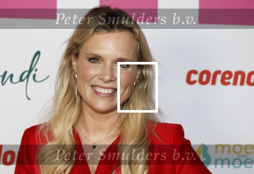 Badhoevedorp 11 februari 2026
Fabulous mama of the year in het Corendon Hotel. Eveline Stallaart