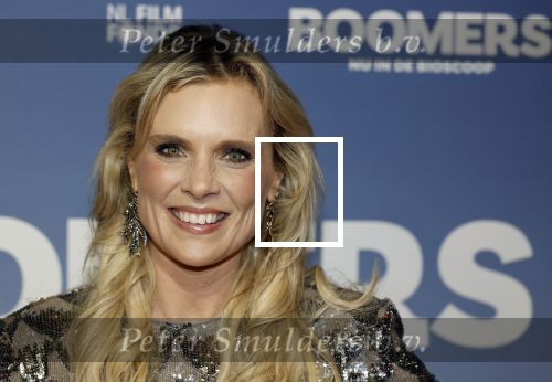 Amsterdam 16 februari 2026
Premiere Boomers met oa Huub Stapel Jennifer Hofman ( zwanger) Renee Fokker Johanna Ter Steege Hans Kesting Serge Henri Valcke ea  in Tuschinski . Eveline Stallaart kwam met Robin Pors