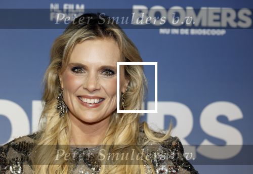 Amsterdam 16 februari 2026
Premiere Boomers met oa Huub Stapel Jennifer Hofman ( zwanger) Renee Fokker Johanna Ter Steege Hans Kesting Serge Henri Valcke ea  in Tuschinski . Eveline Stallaart kwam met Robin Pors