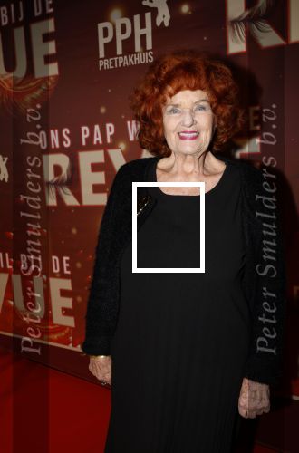 Amsterdam 26 januari 2026
Premiere ons pap wil bij de revue in het deLaMar theater . Imca Marina