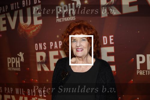 Amsterdam 26 januari 2026
Premiere ons pap wil bij de revue in het deLaMar theater . Imca Marina
