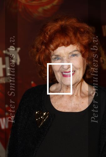 Amsterdam 26 januari 2026
Premiere ons pap wil bij de revue in het deLaMar theater . Imca Marina