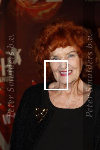 Amsterdam 26 januari 2026
Premiere ons pap wil bij de revue in het deLaMar theater . Imca Marina