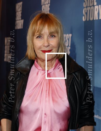 Amsterdam 4 februari 2026
Premiere West side Story in Carre. Inge Ipenburg