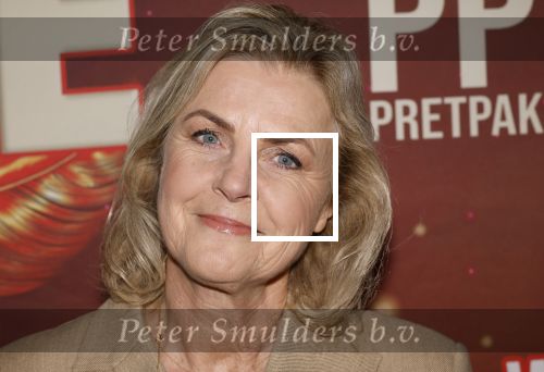 Amsterdam 26 januari 2026
Premiere ons pap wil bij de revue in het deLaMar theater . Irene Moors