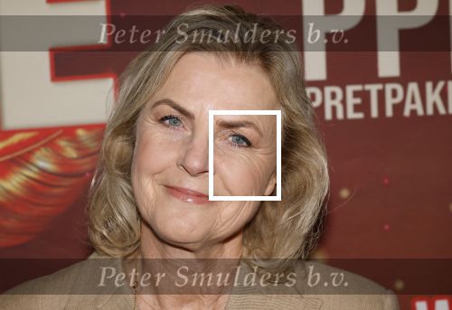 Amsterdam 26 januari 2026
Premiere ons pap wil bij de revue in het deLaMar theater . Irene Moors