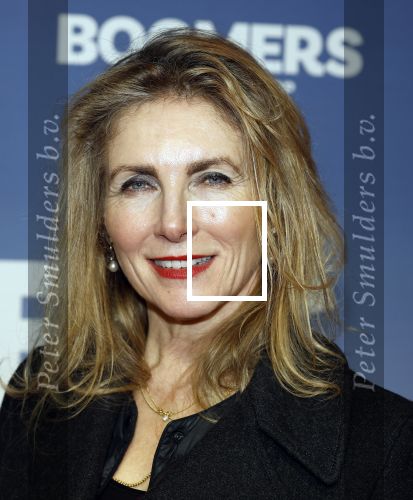 Amsterdam 16 februari 2026
Premiere Boomers met oa Huub Stapel Jennifer Hofman ( zwanger) Renee Fokker Johanna Ter Steege Hans Kesting Serge Henri Valcke ea  in Tuschinski . Jessica Durlacher