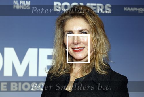 Amsterdam 16 februari 2026
Premiere Boomers met oa Huub Stapel Jennifer Hofman ( zwanger) Renee Fokker Johanna Ter Steege Hans Kesting Serge Henri Valcke ea  in Tuschinski . Jessica Durlacher