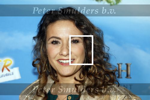 Amsterdam 31 januari 2026
Premiere Duivinder in het VUE  theater . Jessica Mendels kwam met haar dochter