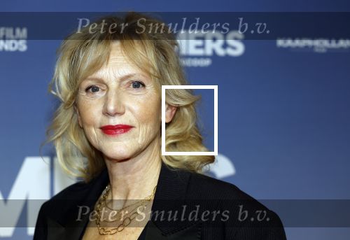 Amsterdam 16 februari 2026
Premiere Boomers met oa Huub Stapel Jennifer Hofman ( zwanger) Renee Fokker Johanna Ter Steege Hans Kesting Serge Henri Valcke ea  in Tuschinski .