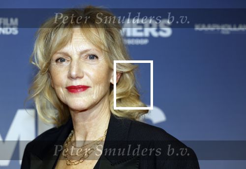 Amsterdam 16 februari 2026
Premiere Boomers met oa Huub Stapel Jennifer Hofman ( zwanger) Renee Fokker Johanna Ter Steege Hans Kesting Serge Henri Valcke ea  in Tuschinski .