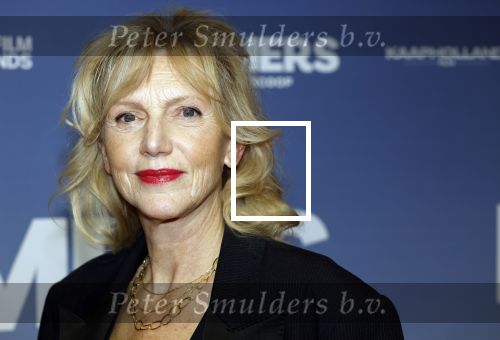 Amsterdam 16 februari 2026
Premiere Boomers met oa Huub Stapel Jennifer Hofman ( zwanger) Renee Fokker Johanna Ter Steege Hans Kesting Serge Henri Valcke ea  in Tuschinski .