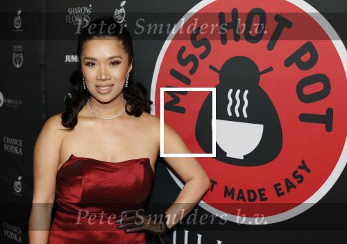 Amsterdam 17 februari 2026
Gala Kimmylien Nguyen voor Miss Hot pot in hotel arena. Kimmylien met haar man