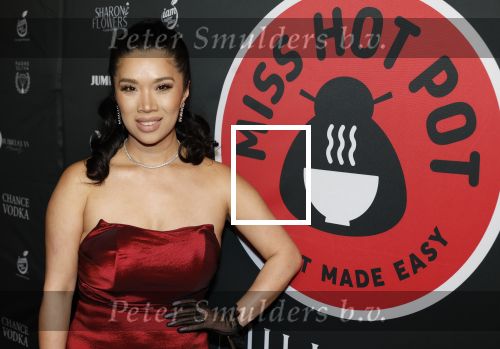 Amsterdam 17 februari 2026
Gala Kimmylien Nguyen voor Miss Hot pot in hotel arena. Kimmylien met haar man