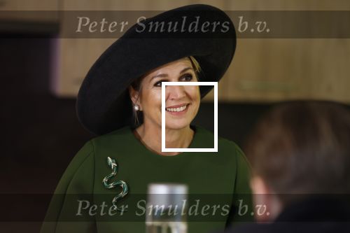 Utrecht 12 Februari 2026
Koningin Maxima opent het Internationaal Jaar van de Vrijwilliger in de Stadsschouwburg van Utrecht