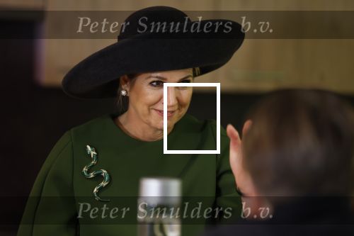 Utrecht 12 Februari 2026
Koningin Maxima opent het Internationaal Jaar van de Vrijwilliger in de Stadsschouwburg van Utrecht