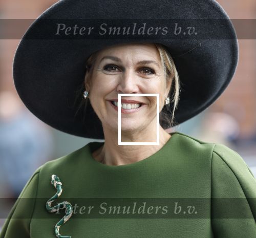 Utrecht 12 Februari 2026
Koningin MÃ¡xima opent het Internationaal Jaar van de Vrijwilliger in de Stadsschouwburg van Utrecht