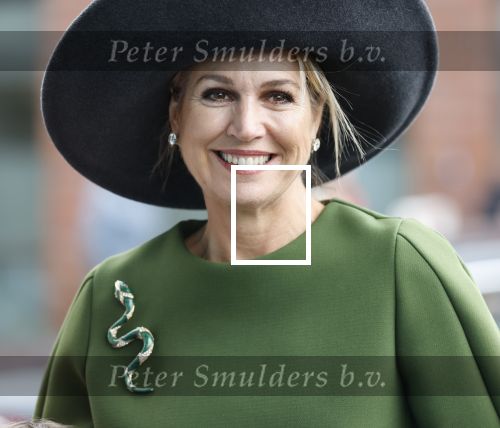 Utrecht 12 Februari 2026
Koningin MÃ¡xima opent het Internationaal Jaar van de Vrijwilliger in de Stadsschouwburg van Utrecht