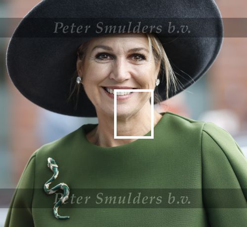 Utrecht 12 Februari 2026
Koningin MÃ¡xima opent het Internationaal Jaar van de Vrijwilliger in de Stadsschouwburg van Utrecht