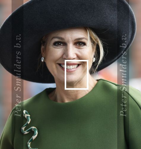 Utrecht 12 Februari 2026
Koningin MÃ¡xima opent het Internationaal Jaar van de Vrijwilliger in de Stadsschouwburg van Utrecht