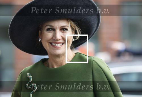 Utrecht 12 Februari 2026
Koningin MÃ¡xima opent het Internationaal Jaar van de Vrijwilliger in de Stadsschouwburg van Utrecht