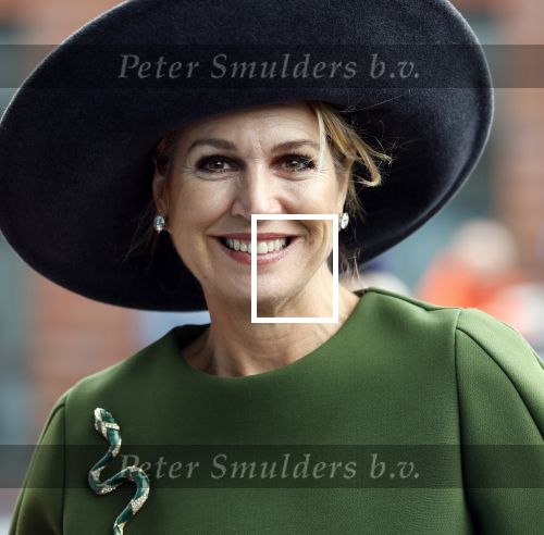 Utrecht 12 Februari 2026
Koningin MÃ¡xima opent het Internationaal Jaar van de Vrijwilliger in de Stadsschouwburg van Utrecht