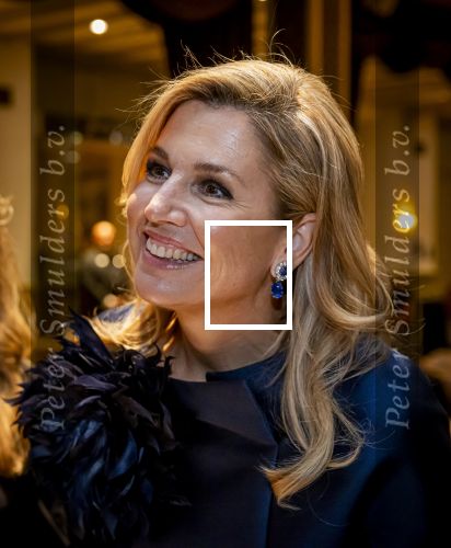 Den Haag 25 Februari 2026
Koningin Maxima der Nederlanden woont de jaarlijkse Iftar-bijeenkomst van MKB (SME) Den Haag bij in het Grand Hotel Kurhaus in Scheveningen