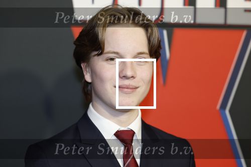 Amsterdam 5 februari 2026
Premiere Vakkenvullers XL in Pathe Noord . Kylian de Pagter