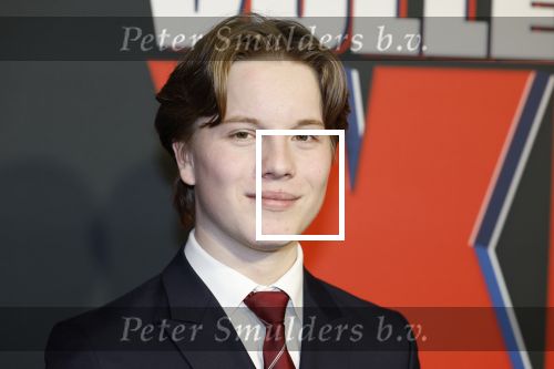 Amsterdam 5 februari 2026
Premiere Vakkenvullers XL in Pathe Noord . Kylian de Pagter