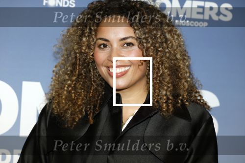 Amsterdam 16 februari 2026
Premiere Boomers met oa Huub Stapel Jennifer Hofman ( zwanger) Renee Fokker Johanna Ter Steege Hans Kesting Serge Henri Valcke ea  in Tuschinski . lauretta Gerards