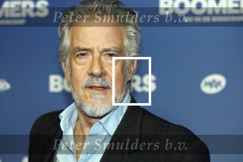 Amsterdam 16 februari 2026
Premiere Boomers met oa Huub Stapel Jennifer Hofman ( zwanger) Renee Fokker Johanna Ter Steege Hans Kesting Serge Henri Valcke ea  in Tuschinski . Leopold Witte