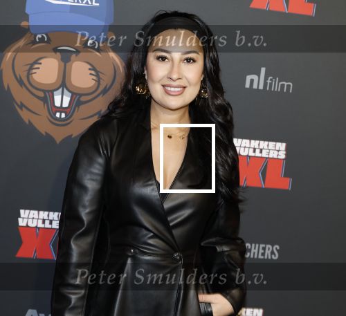 Amsterdam 5 februari 2026
Premiere Vakkenvullers XL in Pathe Noord . Mahi Khalesi