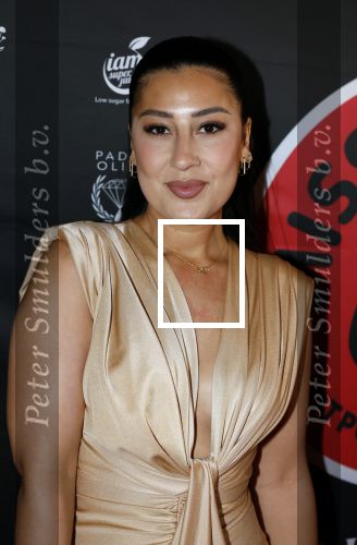 Amsterdam 17 februari 2026
Gala Kimmylien Nguyen voor Miss Hot pot in hotel arena. Mahi Khalesi