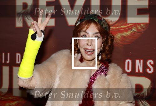 Amsterdam 26 januari 2026
Premiere ons pap wil bij de revue in het deLaMar theater . marijke Helwegen heeft een gebroken arm en zit in het gips