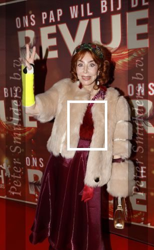 Amsterdam 26 januari 2026
Premiere ons pap wil bij de revue in het deLaMar theater . marijke Helwegen heeft een gebroken arm en zit in het gips