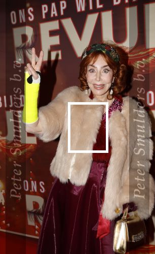 Amsterdam 26 januari 2026
Premiere ons pap wil bij de revue in het deLaMar theater . marijke Helwegen heeft een gebroken arm en zit in het gips