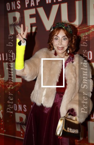 Amsterdam 26 januari 2026
Premiere ons pap wil bij de revue in het deLaMar theater . marijke Helwegen heeft een gebroken arm en zit in het gips