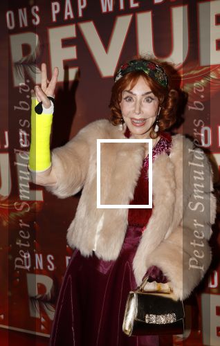 Amsterdam 26 januari 2026
Premiere ons pap wil bij de revue in het deLaMar theater . marijke Helwegen heeft een gebroken arm en zit in het gips