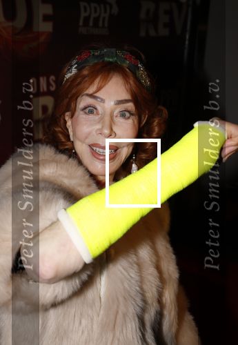Amsterdam 26 januari 2026
Premiere ons pap wil bij de revue in het deLaMar theater . marijke Helwegen heeft een gebroken arm en zit in het gips