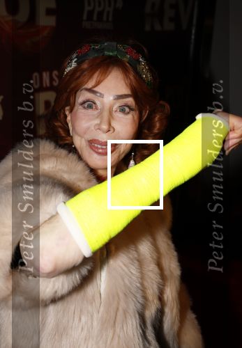 Amsterdam 26 januari 2026
Premiere ons pap wil bij de revue in het deLaMar theater . marijke Helwegen heeft een gebroken arm en zit in het gips