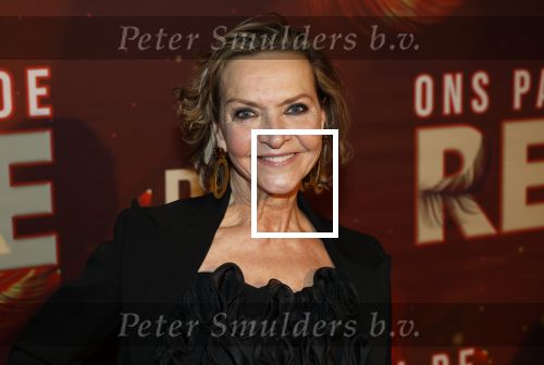 Amsterdam 26 januari 2026
Premiere ons pap wil bij de revue in het deLaMar theater . Mariska v Kolck kwam met haar zoon