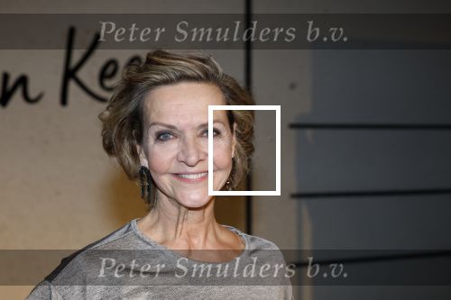 Tilburg 29 januari 2026
Premiere de Bevers in de schouwburg van Tilburg . John de Bever en Kees de Bever geven een voorstelling met oa Bas Muijs Adje v Bavel en Mariska v Kolck.