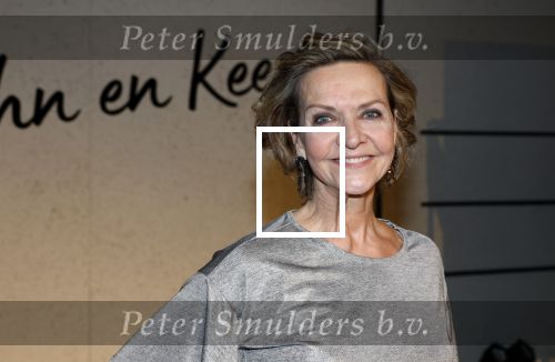 Tilburg 29 januari 2026
Premiere de Bevers in de schouwburg van Tilburg . John de Bever en Kees de Bever geven een voorstelling met oa Bas Muijs Adje v Bavel en Mariska v Kolck.